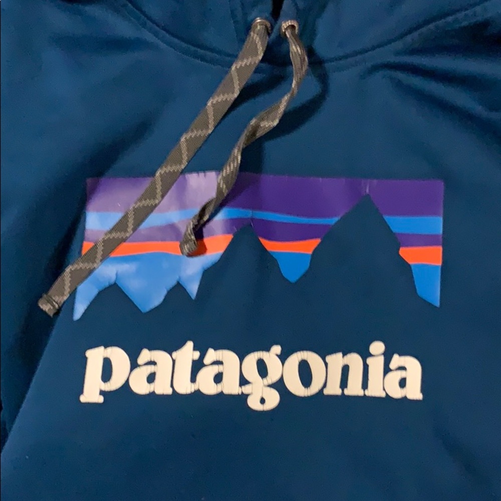 Patagonia hoodie